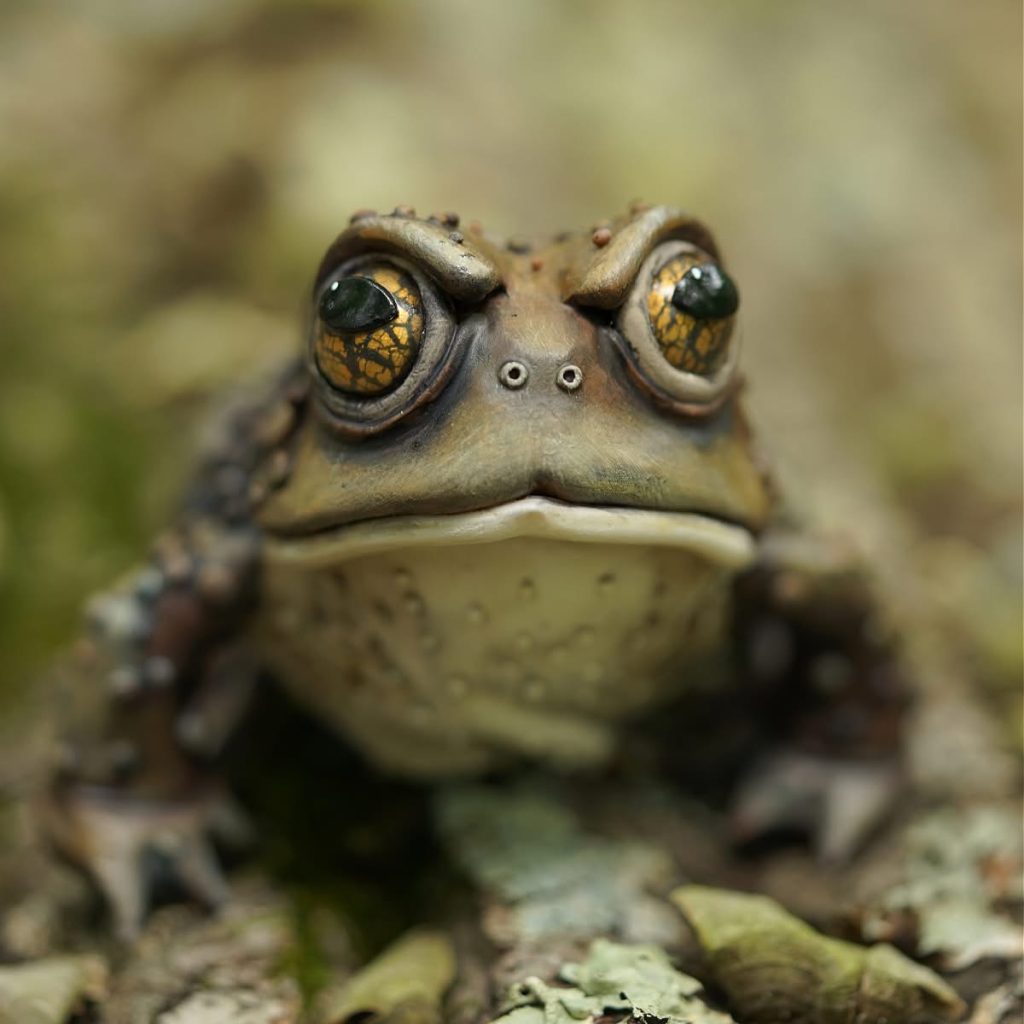 kikker door Melissa Terlizzi